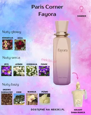 Fayora for women  by Paris Corner